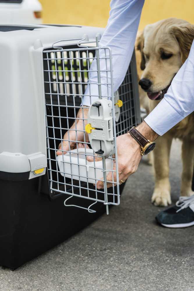 Gulliver 5 Touring, šedá