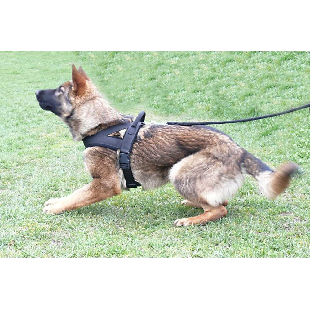 Postroj s úchytem M