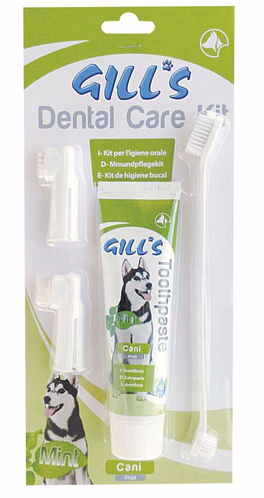 Zubní sada pasta + kartáčky (Gill´s dental care kit)