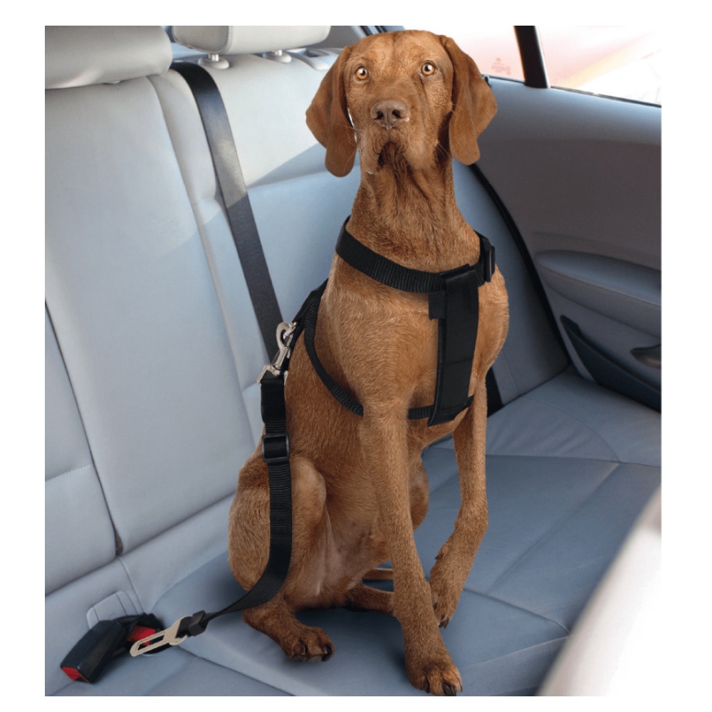 Postroj pro psa do auta Croci S 30-60 cm