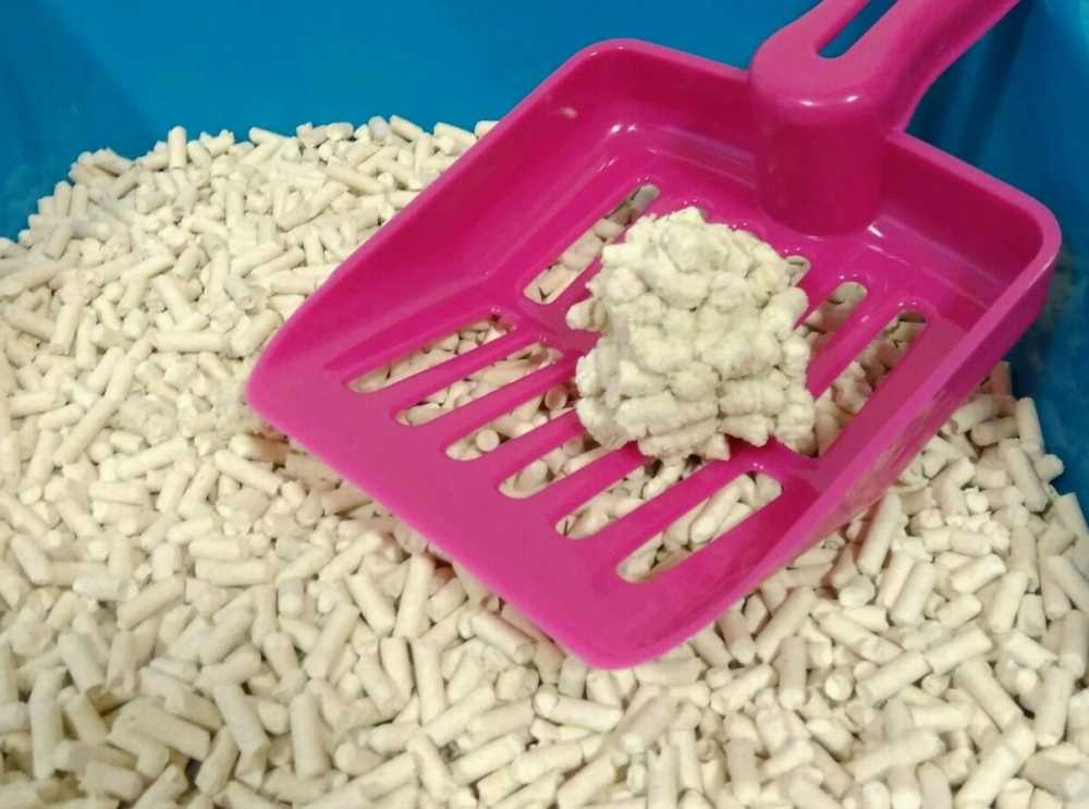 Smarty Tofu Cat Litter Green Tea podestýlka 6 l AKCE 5 + 1 ZDARMA