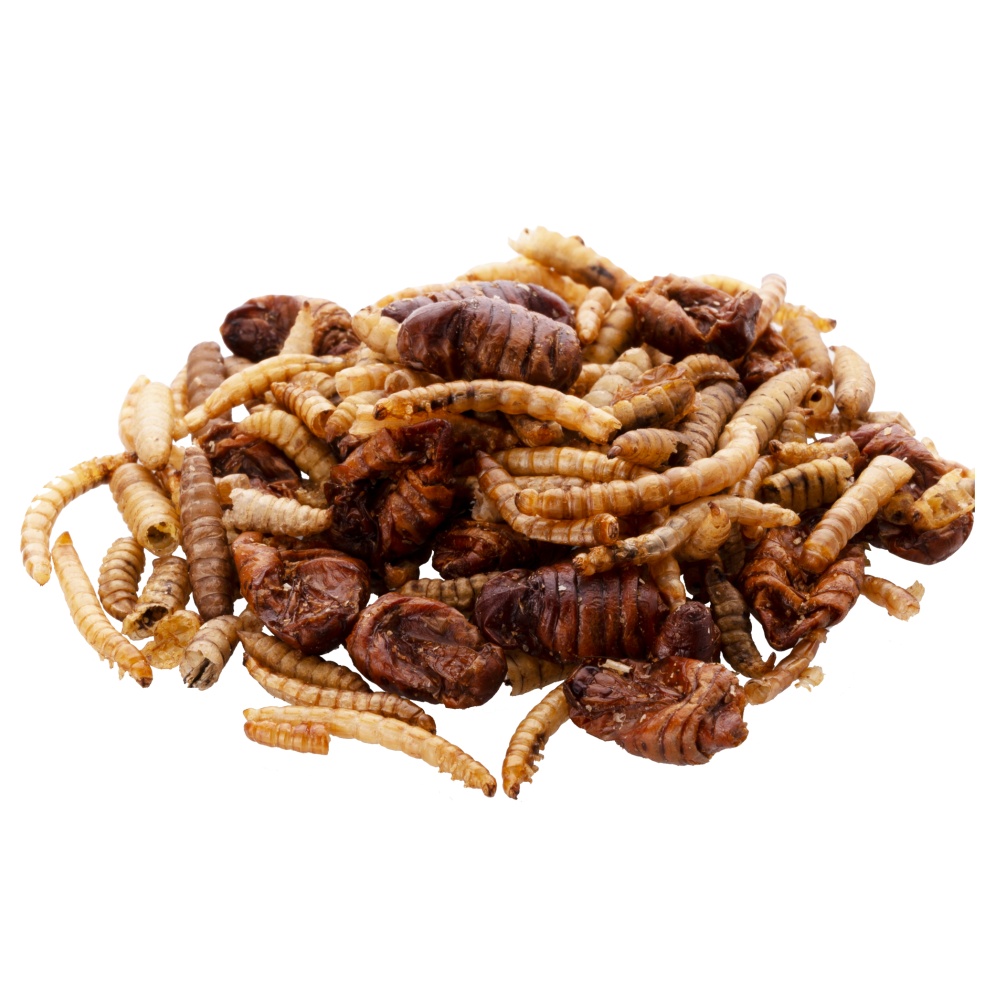 Mix hmyzu UGF, dóza 500 ml (80 g)