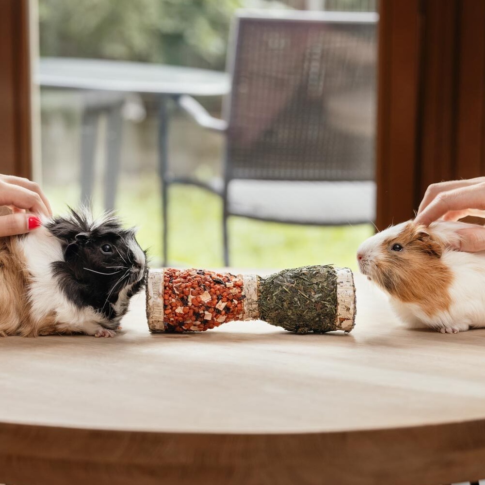 Ham-Stake Přírodní krmítko s bylinkami a zeleninou