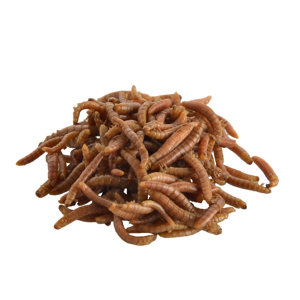 Mouční červy, konzerva 35 g