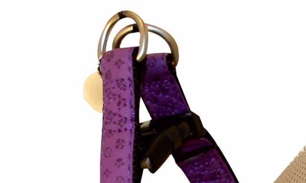 Postroj Mylord fialový 1x25-40 cm